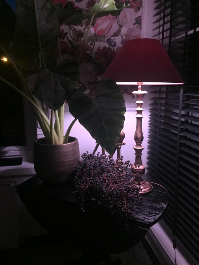 Huyze-Peppins Bed & Breakfast Maldegem Luaran gambar